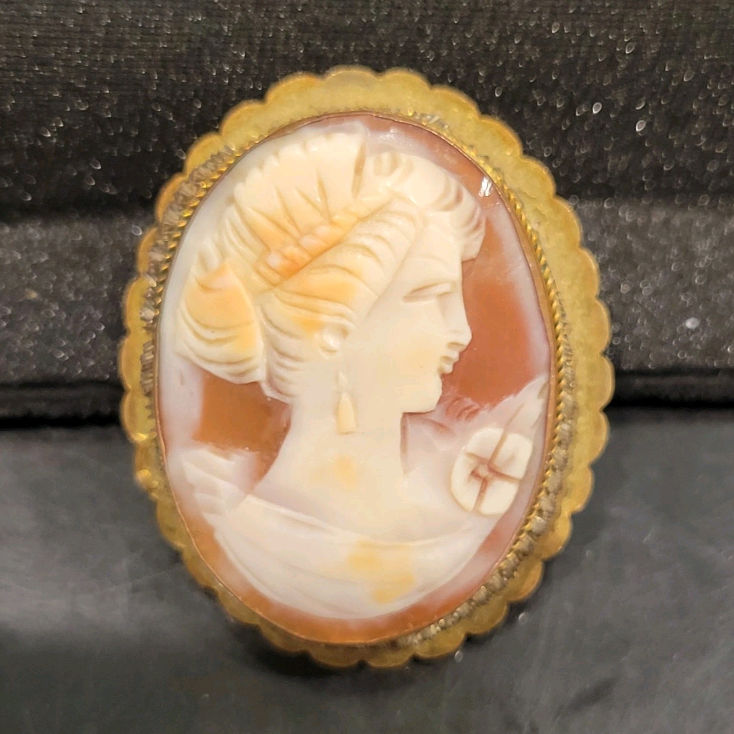 Oval Cameo Portrait Brooch Pin, Scalloped Gold-Tone Frame, White & Brown – Read