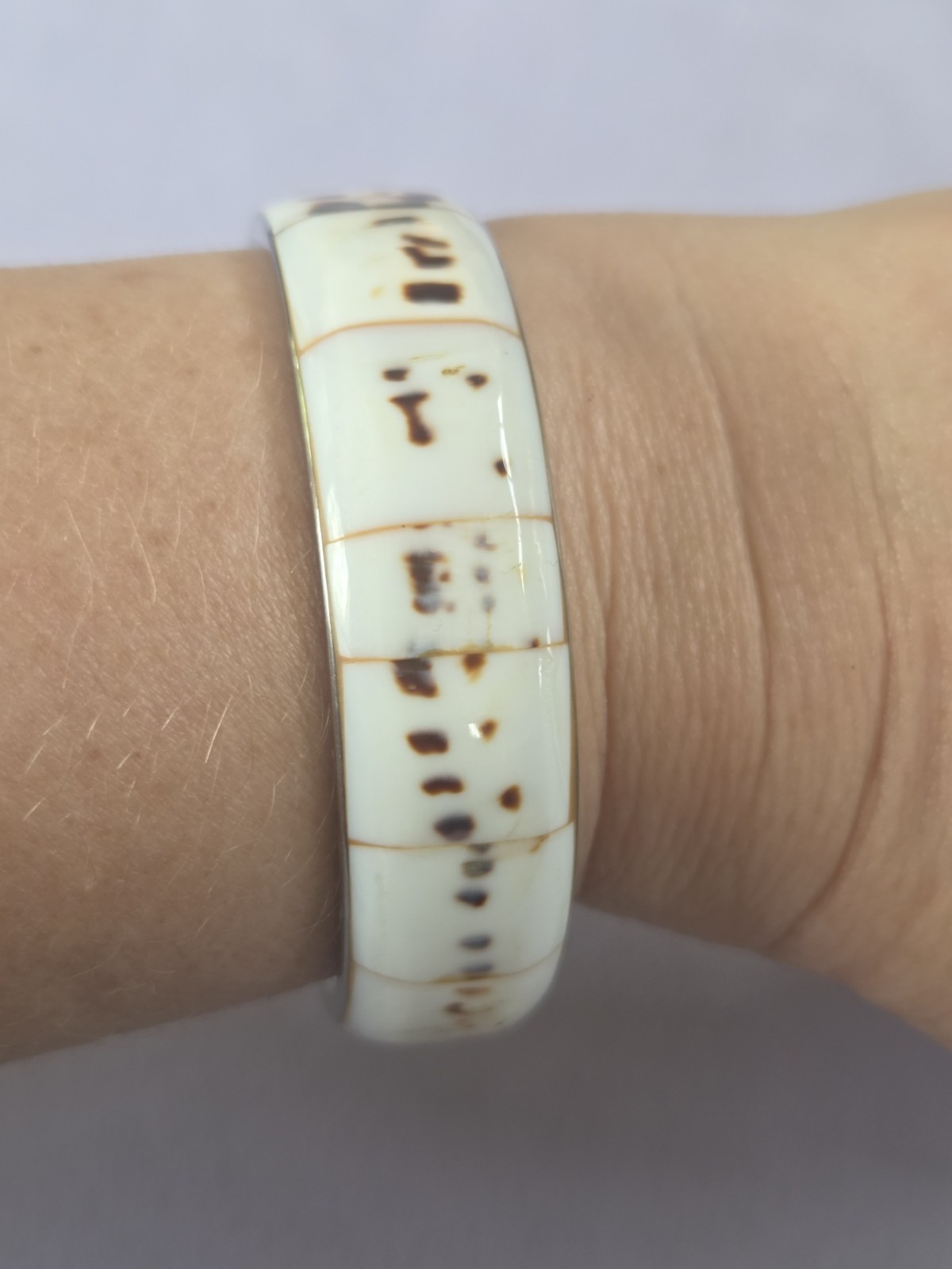 Tiger Cowrie Shell Bracelet Set Vintage Beach Natural Cream Brown White
