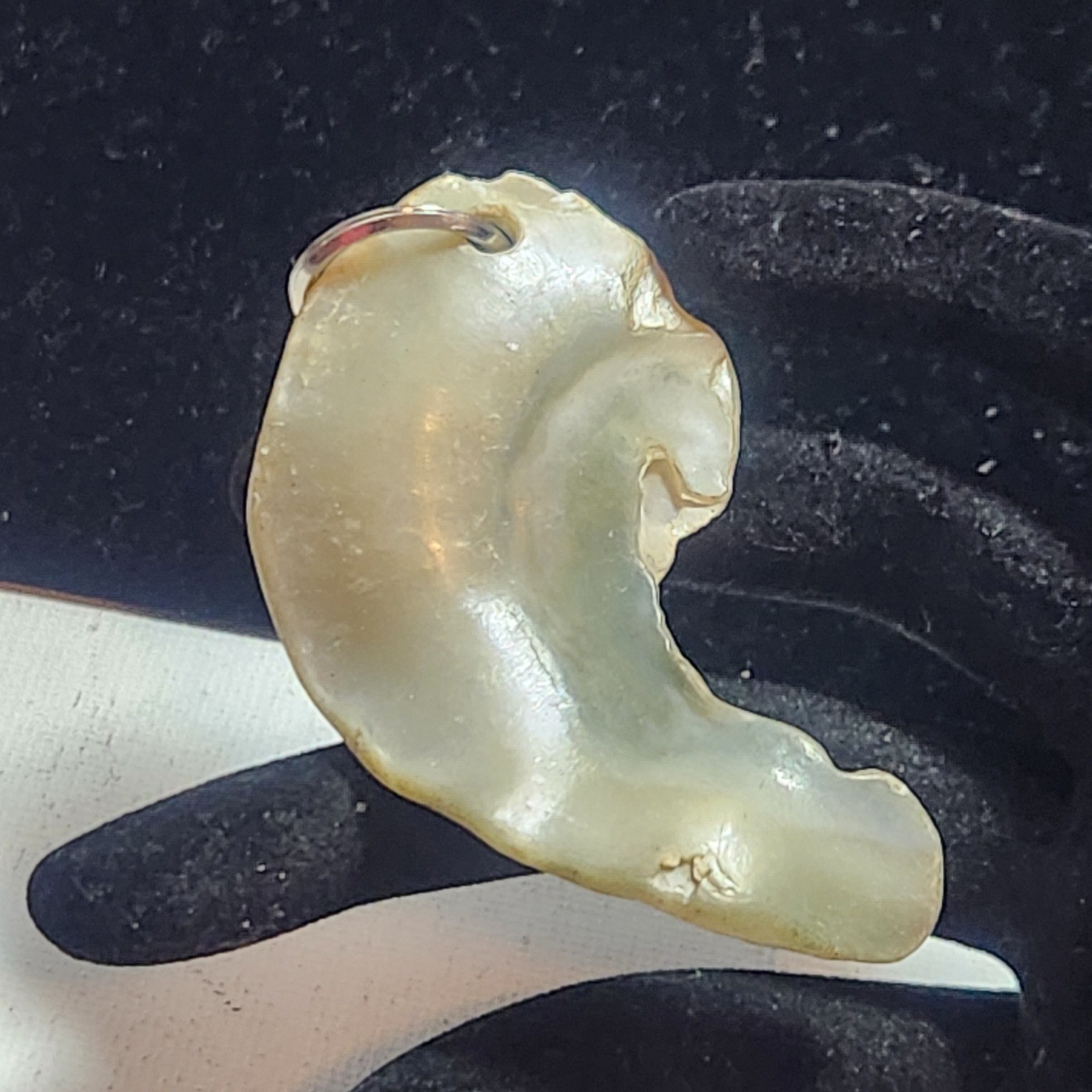 Vintage Natural Carved Organic Wave Shell Pendant Artisan Jewelry