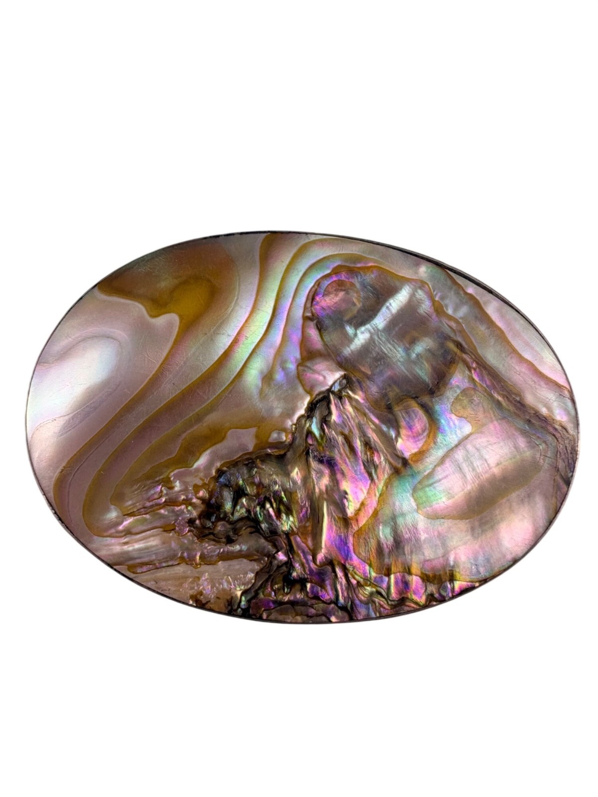 Oblong Abalone Shell Brooch G. Silver Multicolor Jewelry Handmade Vintage