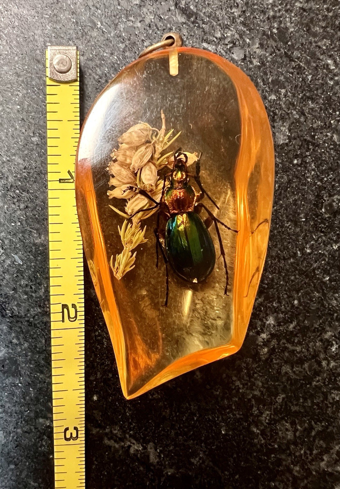 Amber Colored Resin Pendant With Fiery Search Ground Beetle & Flower 2.5”