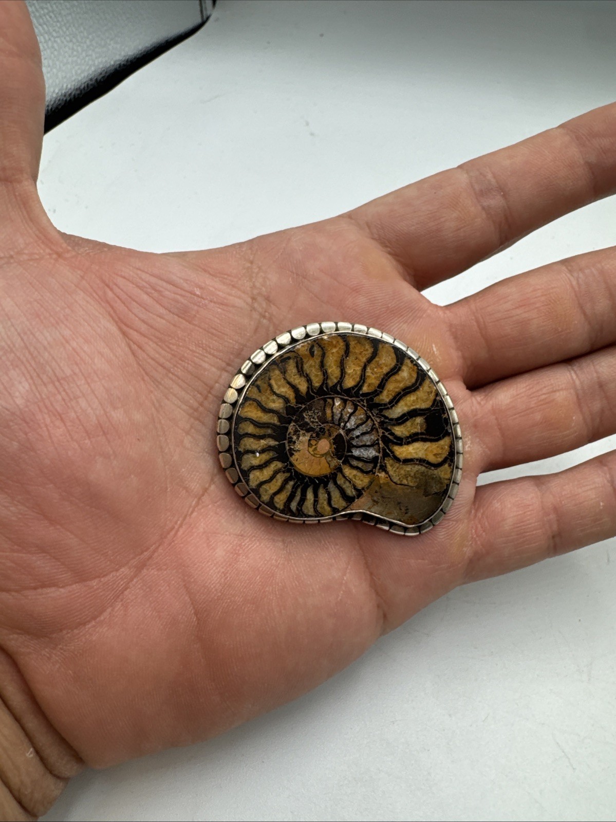 Vintage Sterling Silver Ammonite Fossil Brooch 20g Almost 2”