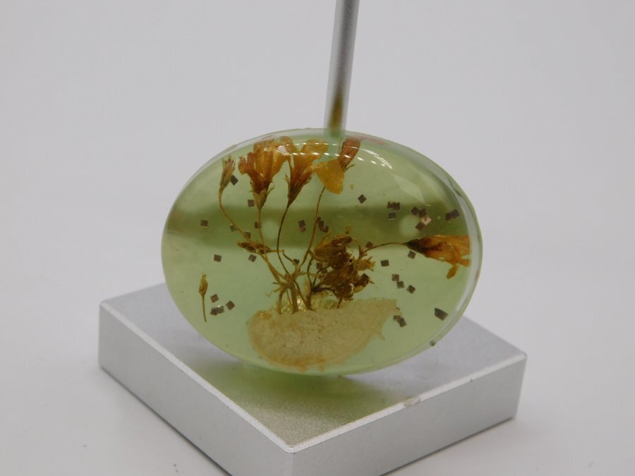 B681-VINTAGE PIN/BROOCH~LOCALLY MADE~REAL SHELL/PLANTS~ACRYLIC~1.5″