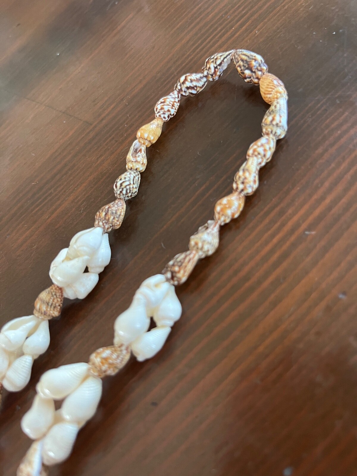 Vintage Shell Necklace 36″ Strand White and Brown Shells