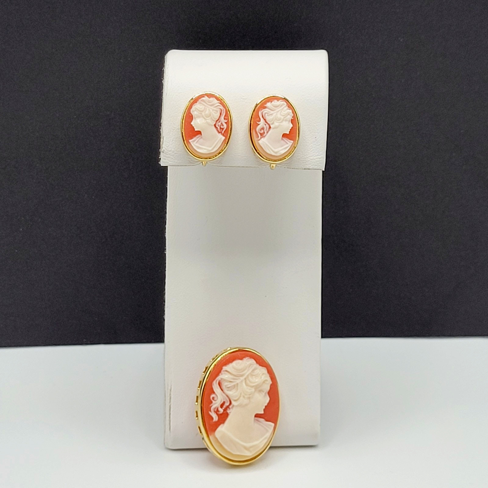 Cameo Set Resin Backed Gold Tone Open Works Frame Salmon Coral Color Revival