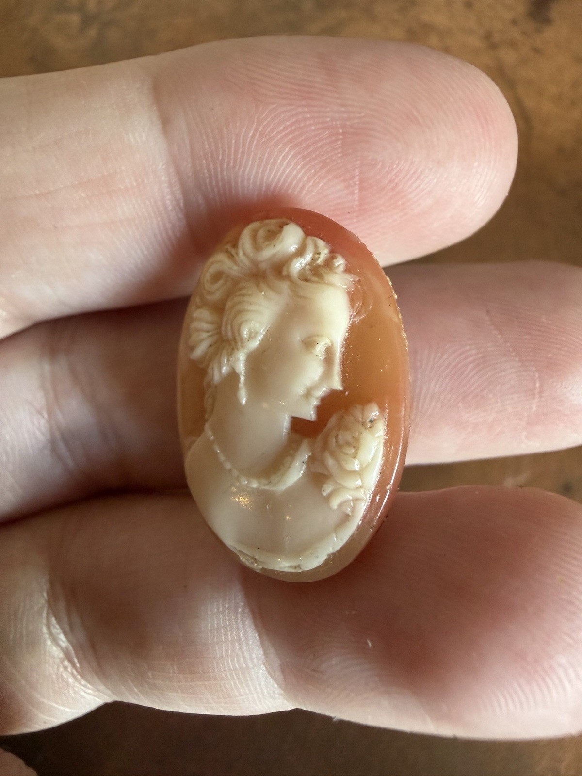 Hand-Carved Right Facing Shell Cameo, No Bezel/Shell Only, 1” Tall