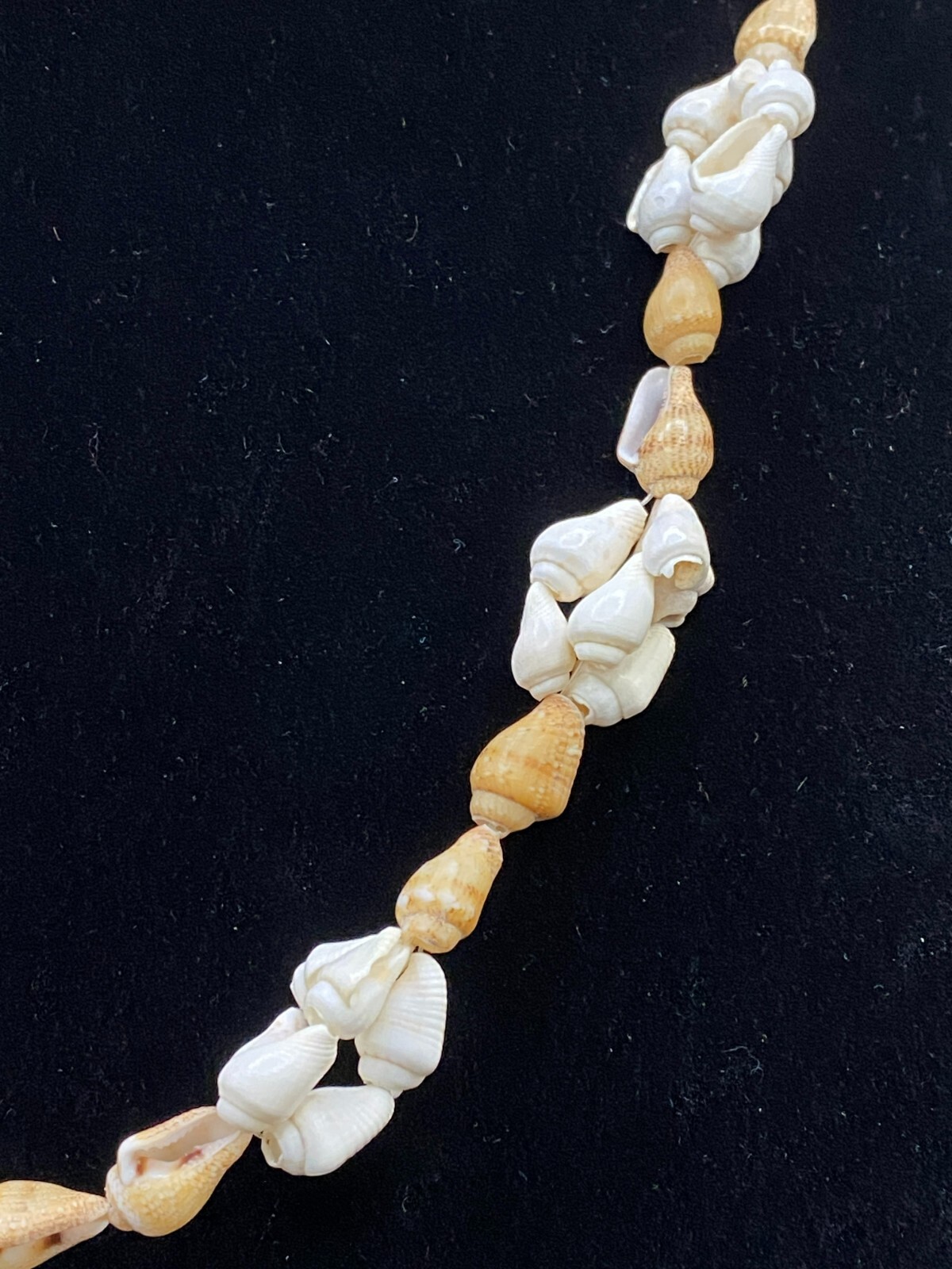 Necklace Conch Shell White and Beige