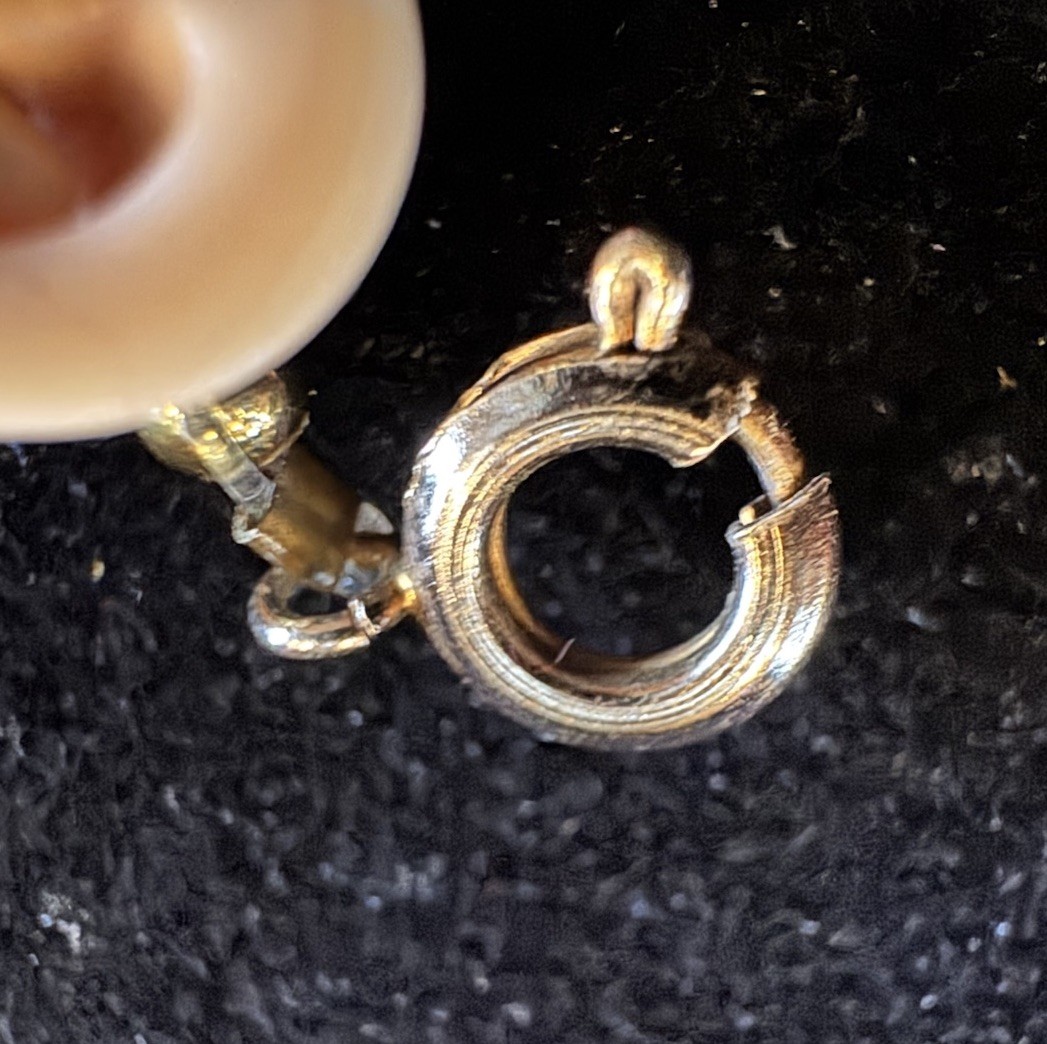 Vintage Shell Bracelet And Pierced Drop Earrings Set Tropical Jewelry