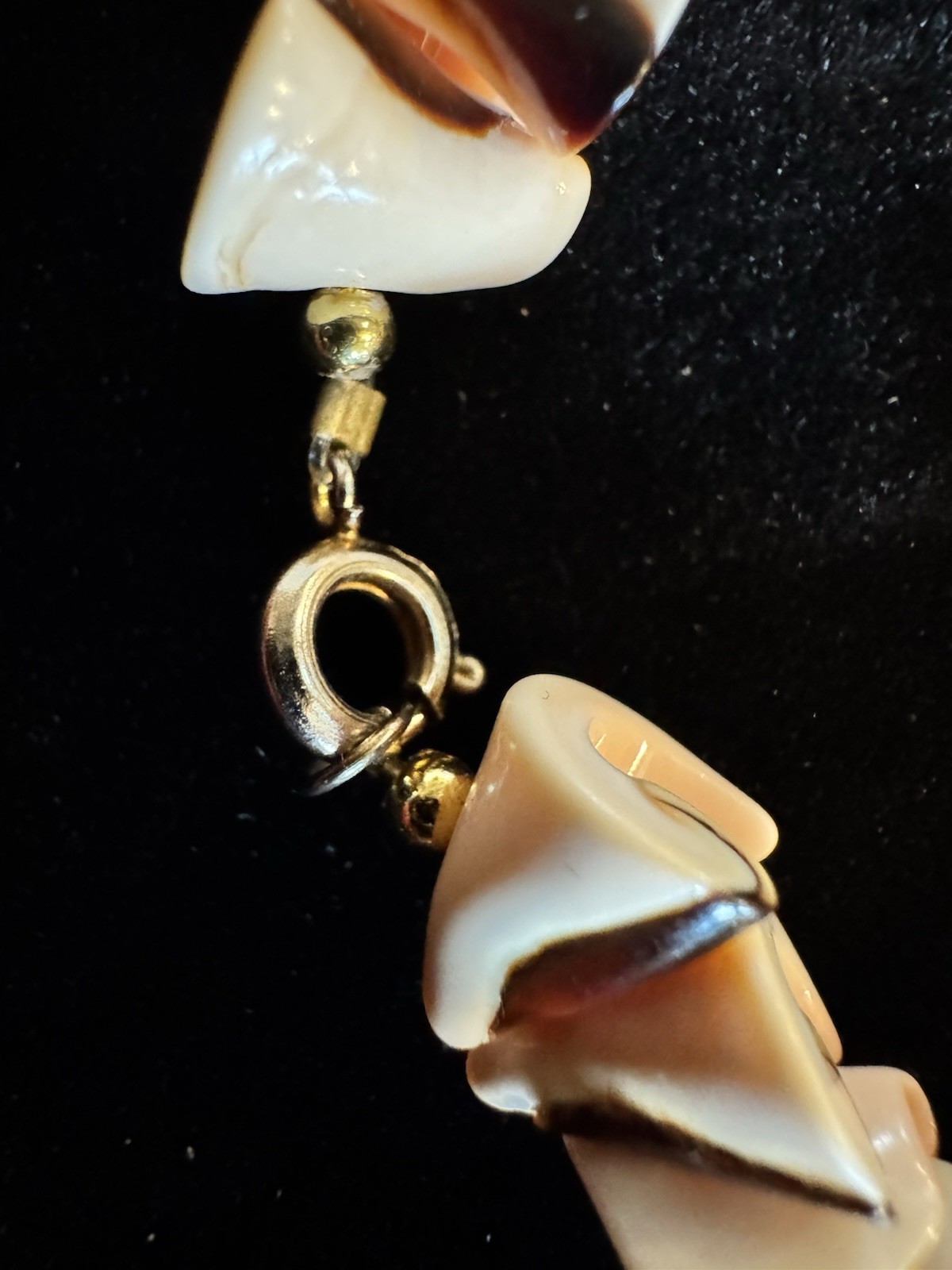 Vintage Shell Bracelet And Pierced Drop Earrings Set Tropical Jewelry