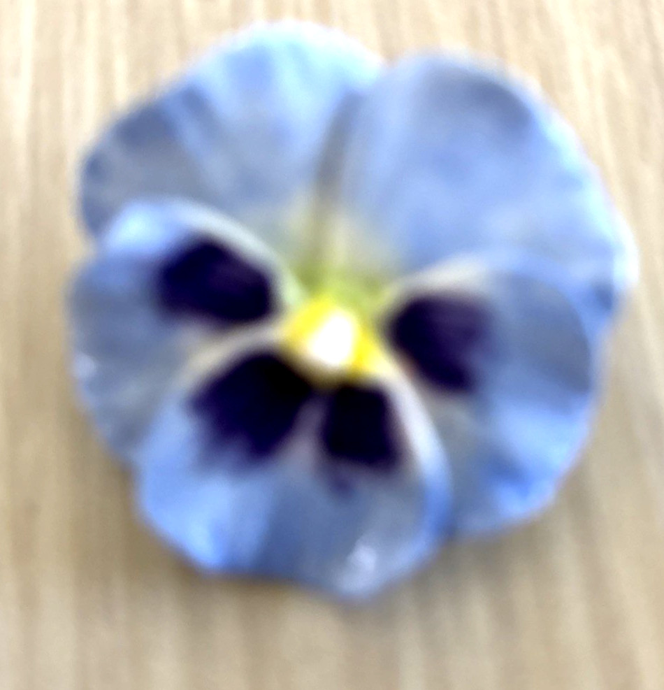 VINTAGE HANDMADE. PANSY BROOCH APPROXIMATELY 1 1/2″ JW 155