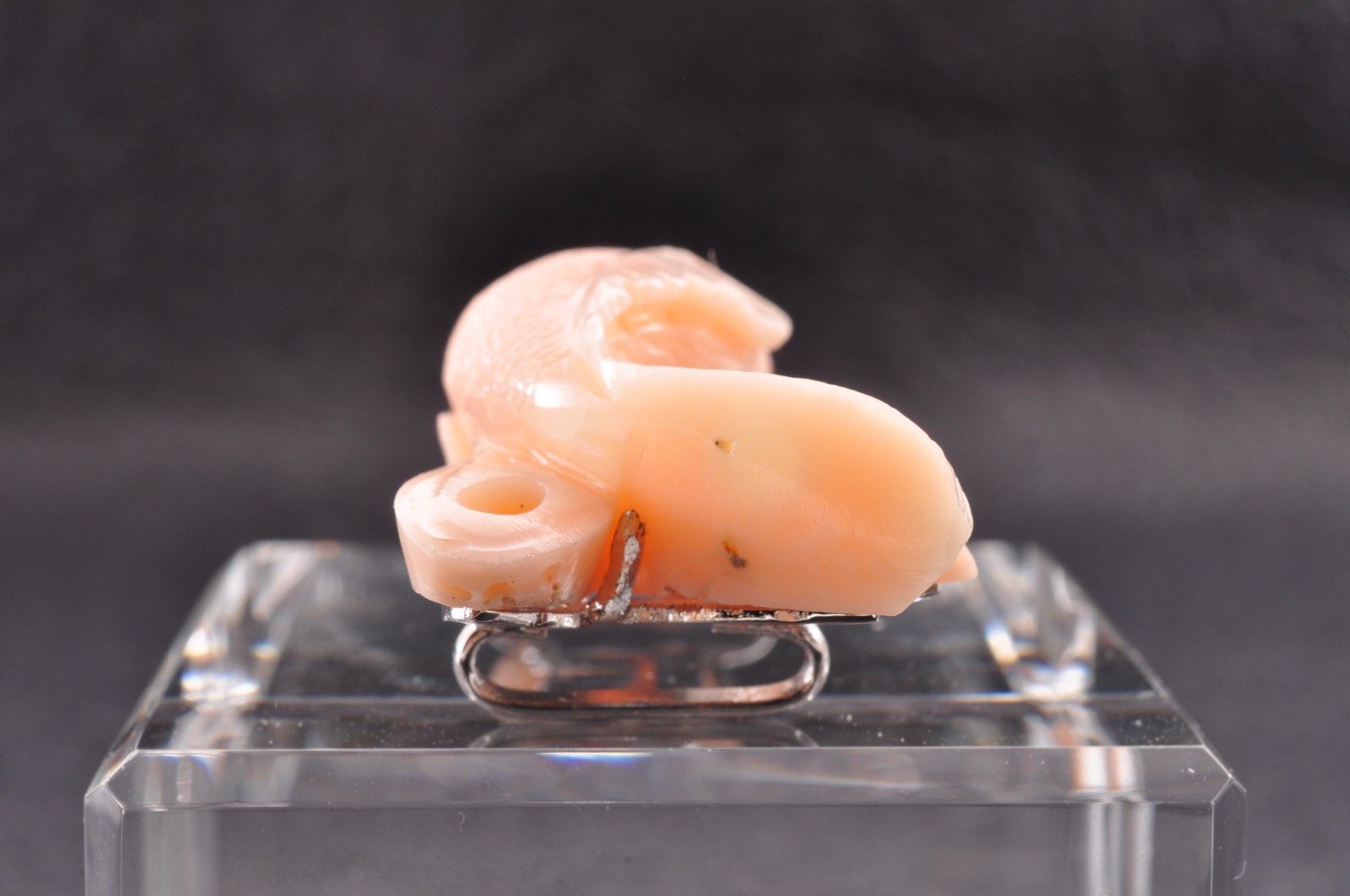 925 silver metal, Angel skin coral OBIDOME “Carp” Certificate, (total 51.0ct).