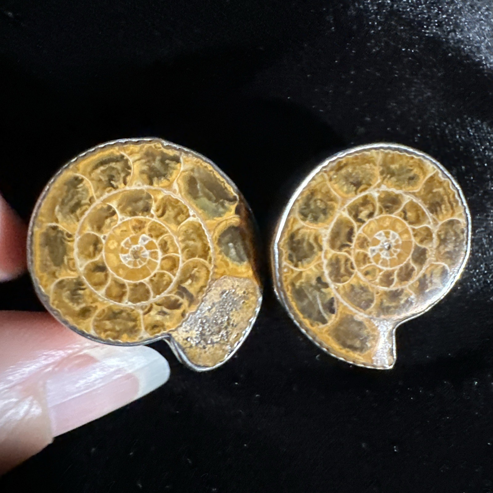 Vintage AKR Amy Kahn Russell Clip Earrings 1.5 Inch Ammonite 925 Sterling 27.2g