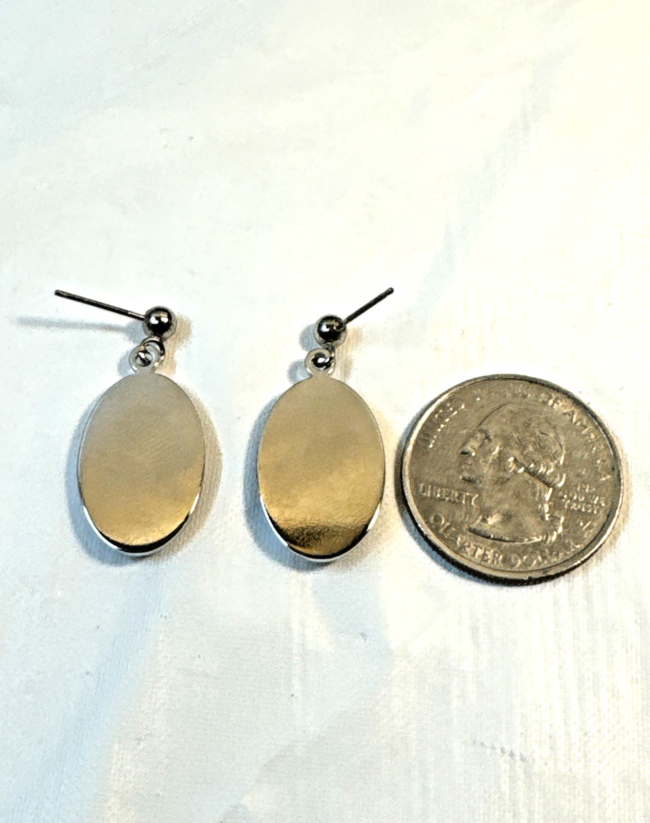 Australian Abalone Paua Shell Earns