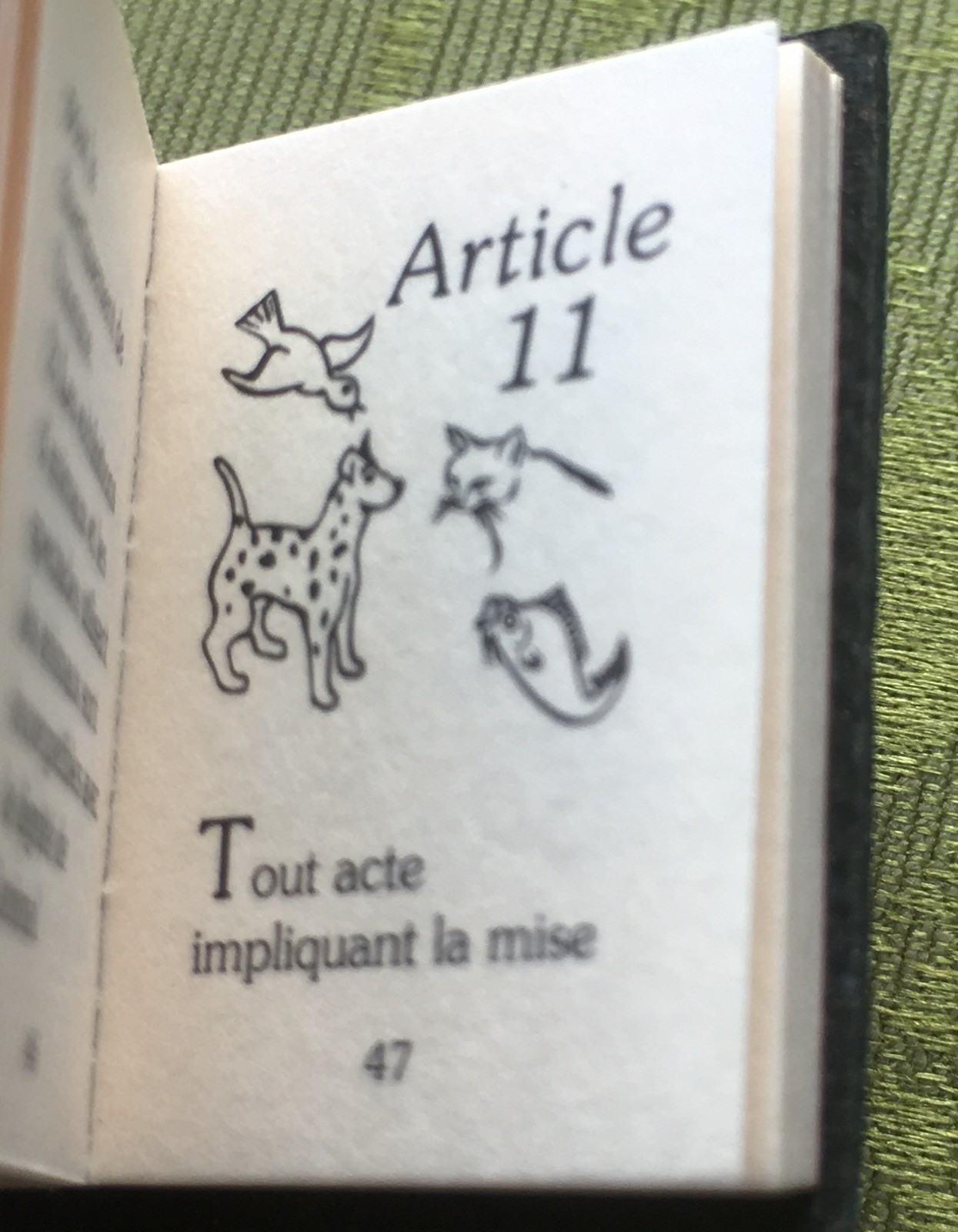 FRENCH RARE 1970s ANIMAL RIGHTS PIN BROOCH~SMALL BOOK SHAPE~UNIQUE VINTAGE GIFT