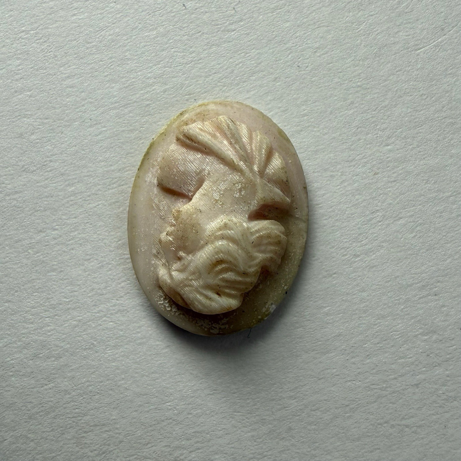 Circa 1920s Antique Pink & White Seashell Relief Cameo