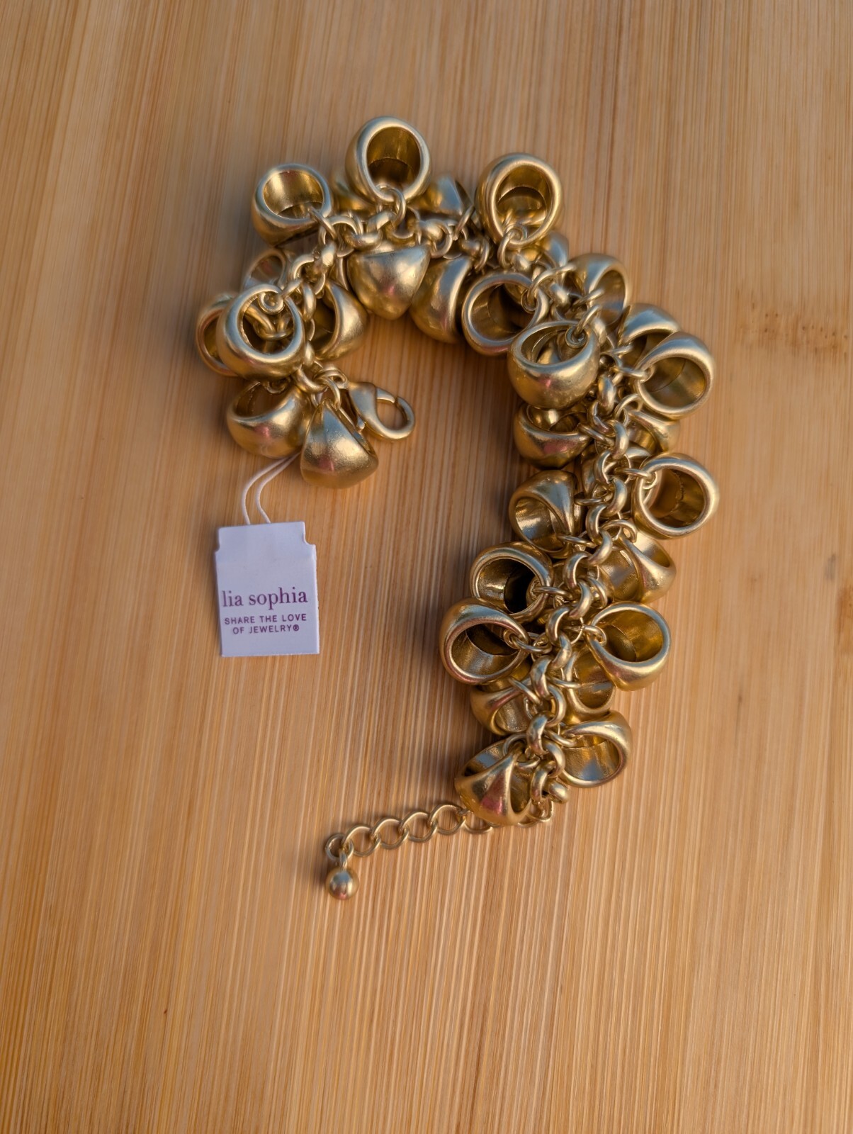 Lia Sophia Cha Cha Cha Chunky Gold Tone Bracelet Heavy Retired Lobster Clasp NWT