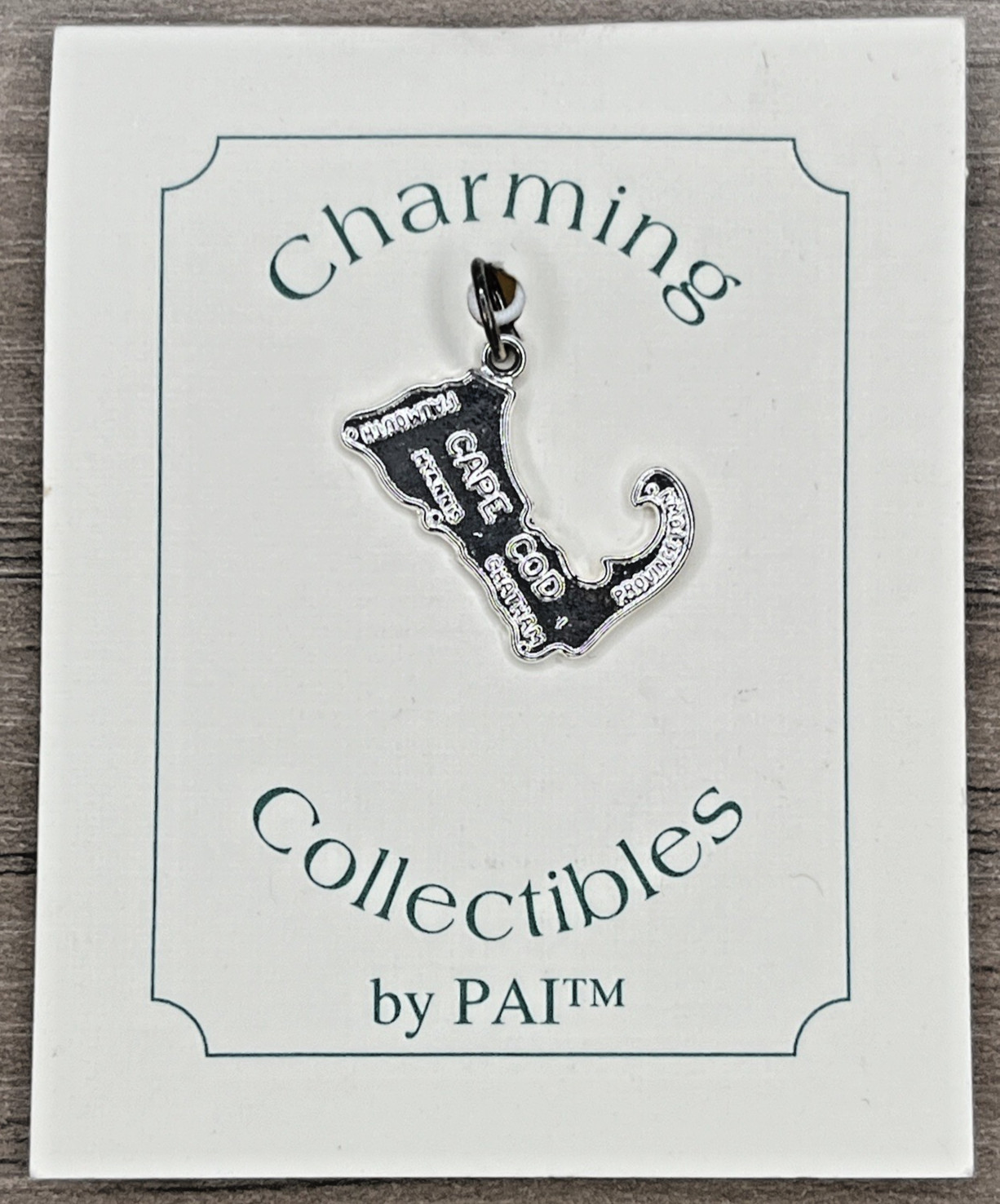 CAPE COD Sterling Silver 925 Charm Charming Collectibles Pai NWT Never Worn