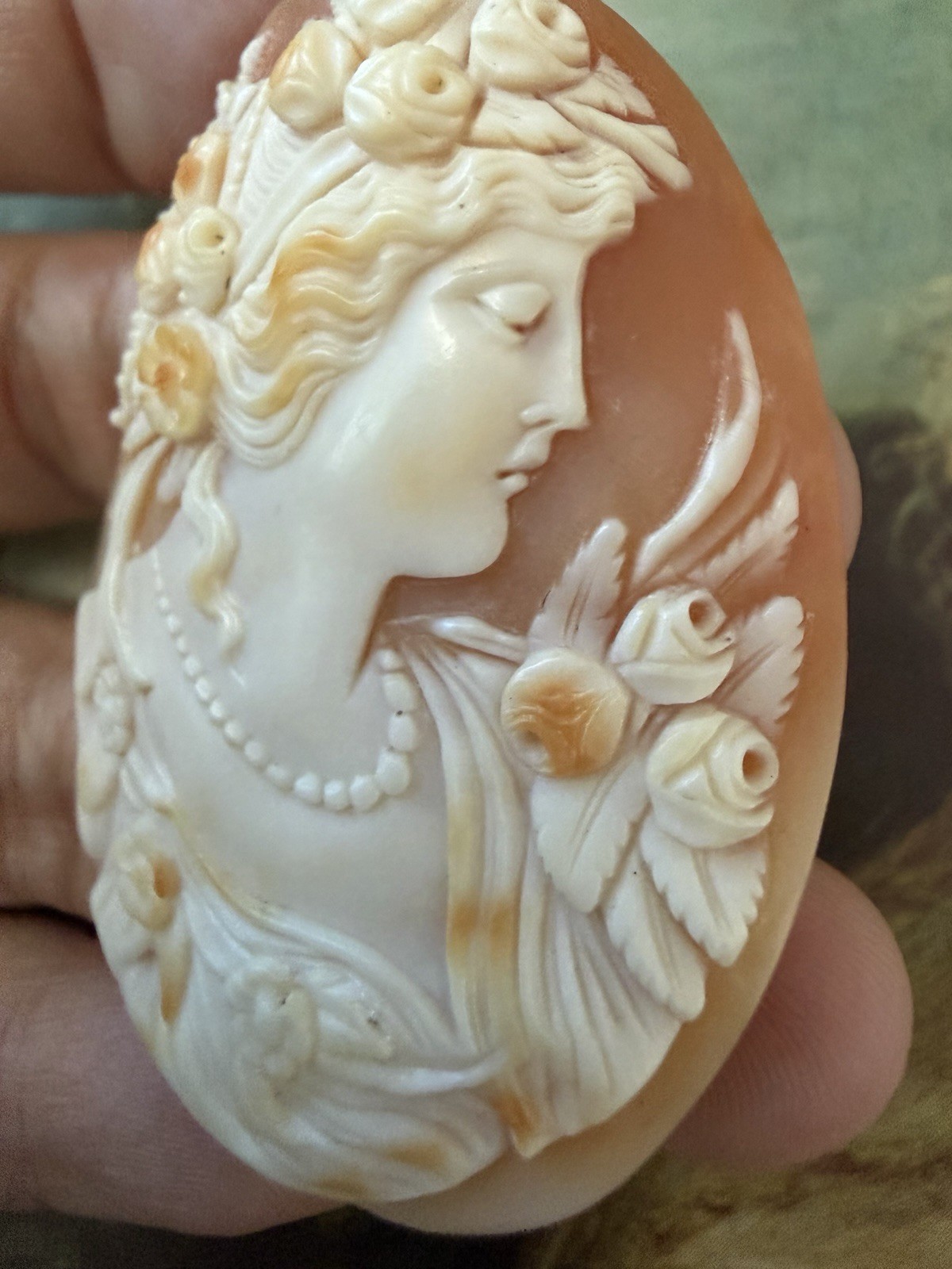 LARGE Victorian Loose Italian Carved Shell Cameo 52x39mm.